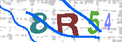 CAPTCHA Resmi