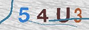CAPTCHA Resmi